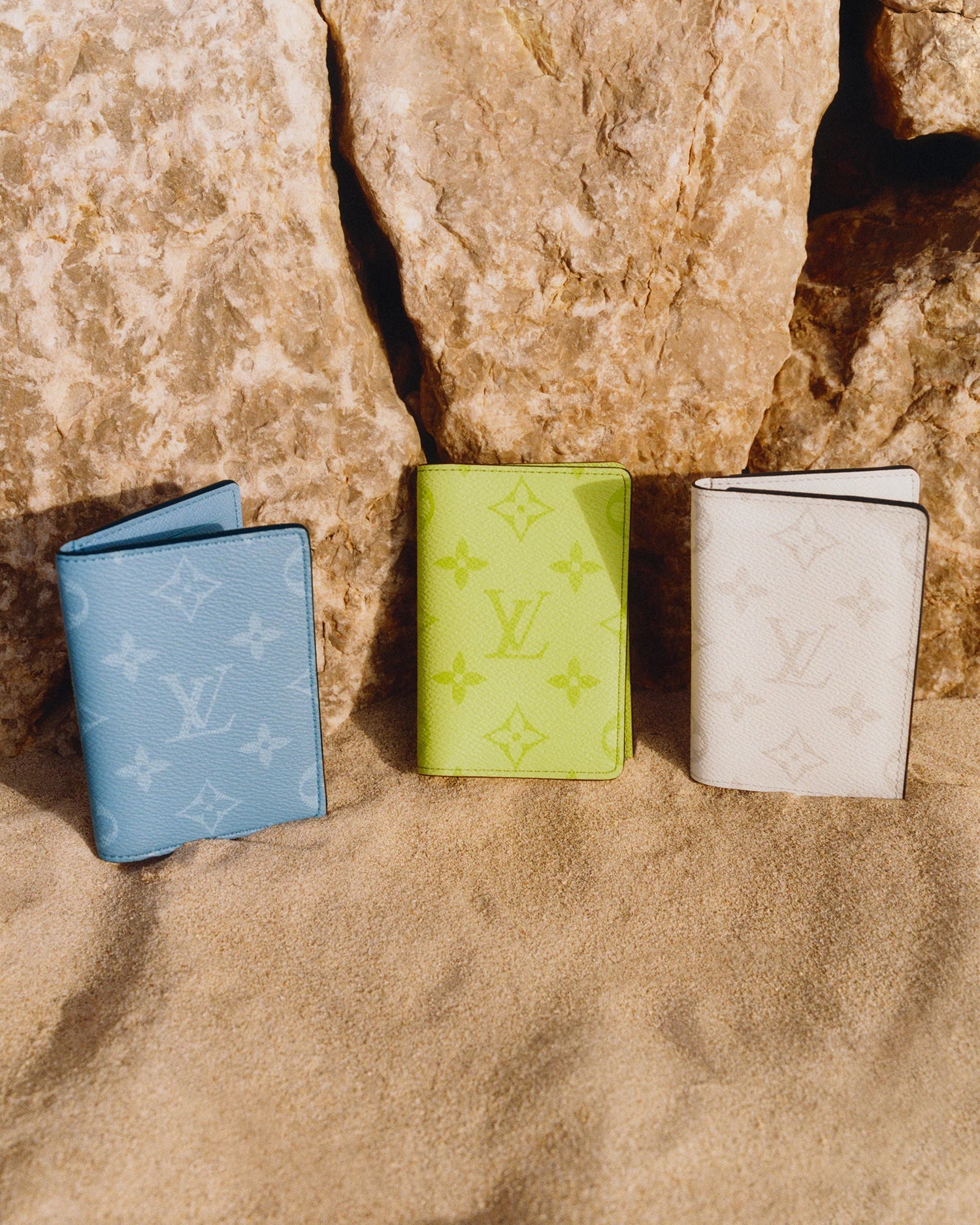LV Card Holder Collection